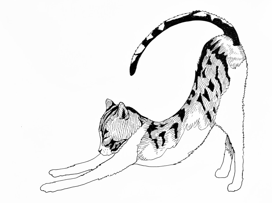 606CFF3E-8C68-47D4-853E-0ED5C757C934