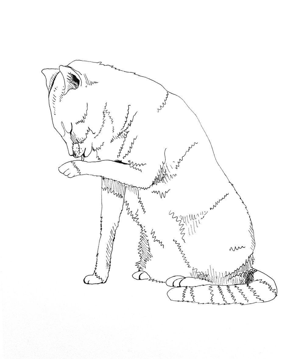 CC8B3683-B34E-42E4-B6BF-870E1CFE392E